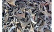 Alloy Steel Scrap